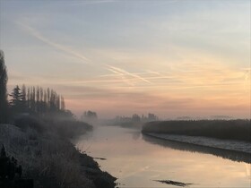 Een mistige ochtend aan de Schelde
